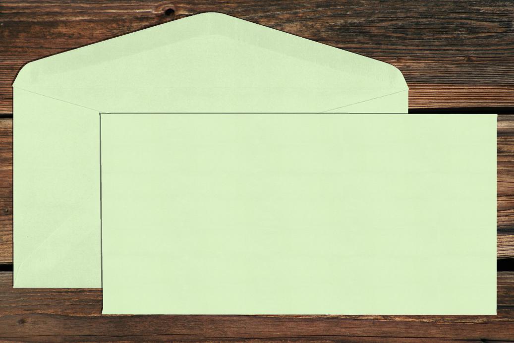 Briefhüllen DL 110x220 mm Nassklebend Hellgrün 120 g/qm